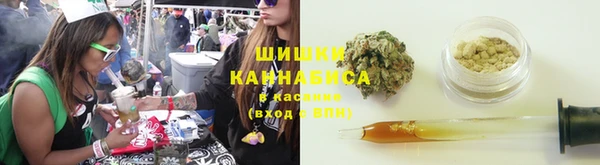 прущие крисы Алексин