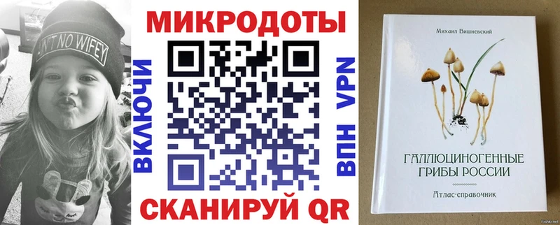 где продают   Котовск  Галлюциногенные грибы GOLDEN TEACHER 