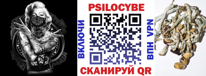 Псилоцибиновые грибы GOLDEN TEACHER Котовск