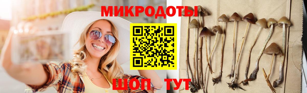 Псилоцибиновые грибы Magic Shrooms  Вход с VPN  где продают   Котовск 